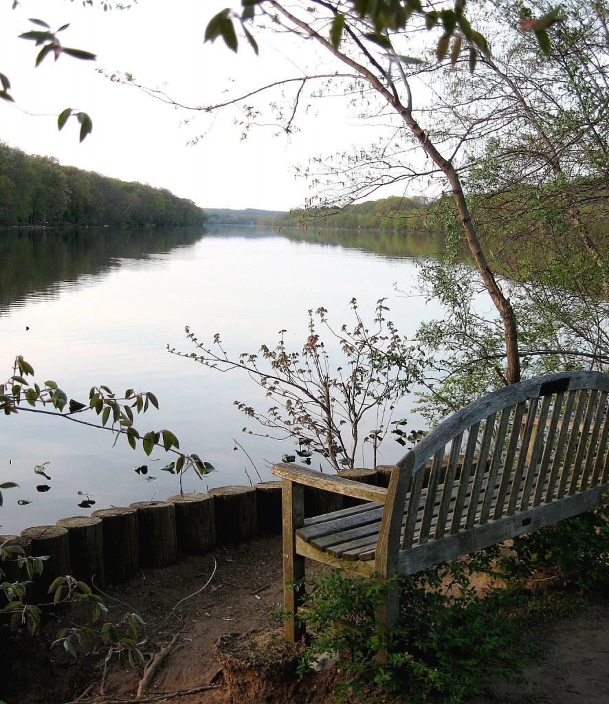 come-sit-a-spell-lake-carnegie-fall-08-cfe