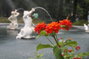 1C143F9D-75E0-4B45-B37F-B39D4157D5B0