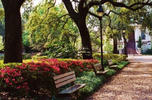 2619399211_f2018cd582