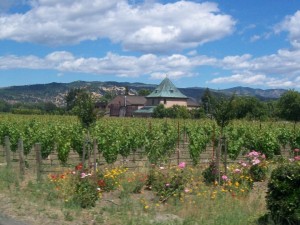 30399_437102716412_507251412_6314280_2250048_n