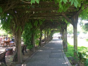 30399_437102746412_507251412_6314284_4852411_n