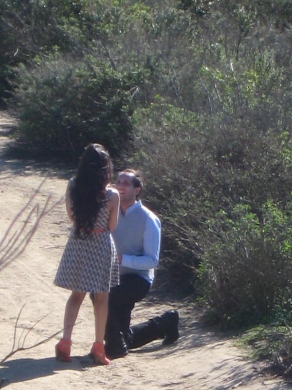 top of the world proposal the yes girls