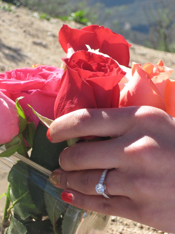 top of the world proposal 1