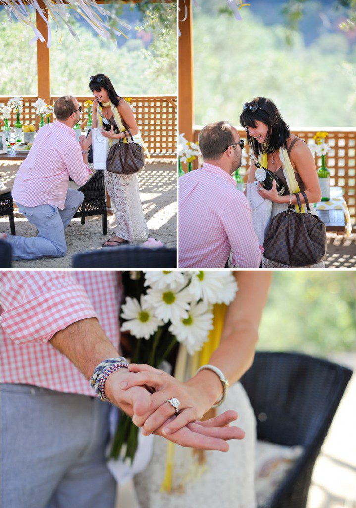 Romantic Marriage Proposal in Napa The Yes Girls Events