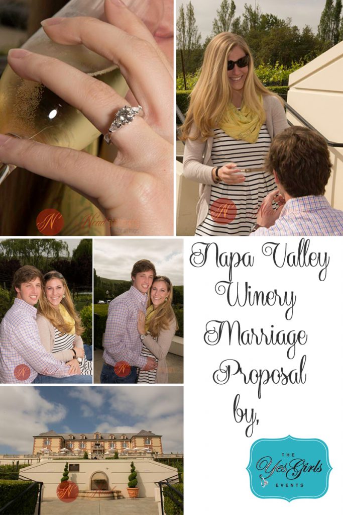 Napa Vineyards Marriage Proposal