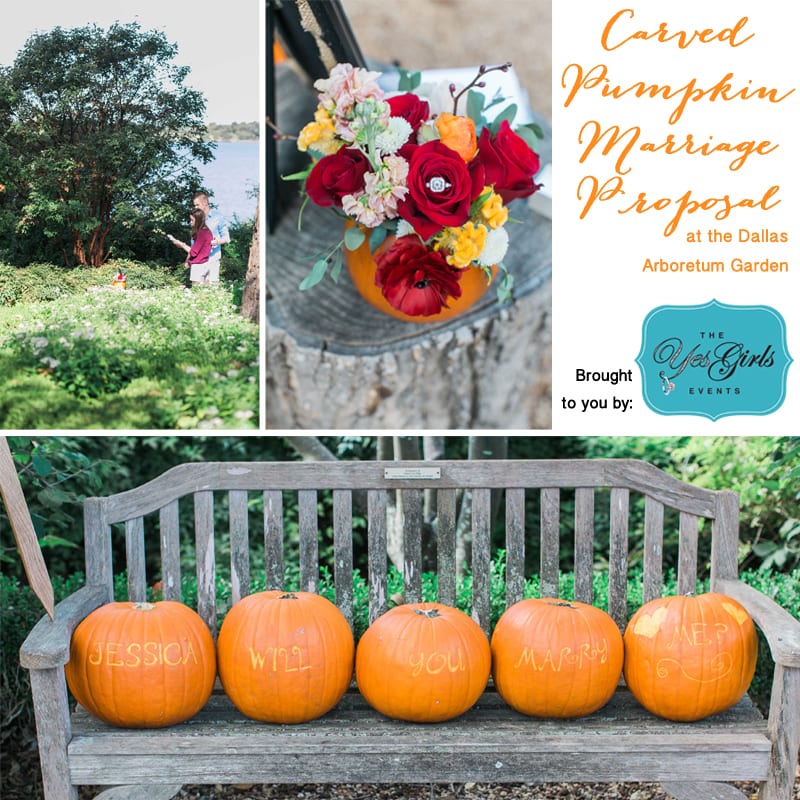 Autumn Wedding proposal at Dallas Arboretum Gardens Fall Festival