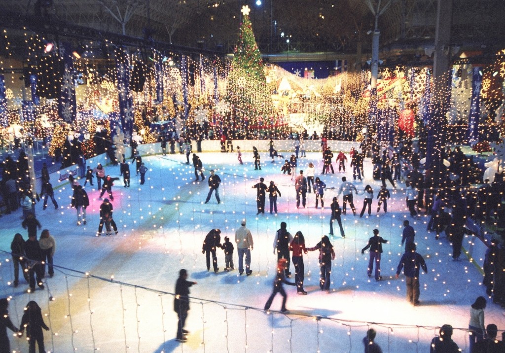 Chicago Proposal Ice Skating