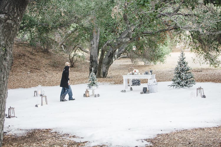 winter wonderland proposal los angeles, ca by the yes girls-0020-0037