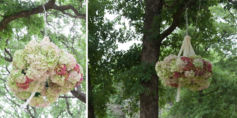 ball of flowers hanging from tree