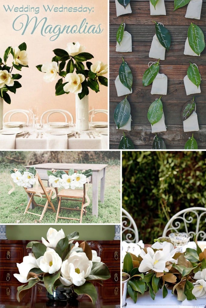 Wedding Wednesday Magnolia Flowers