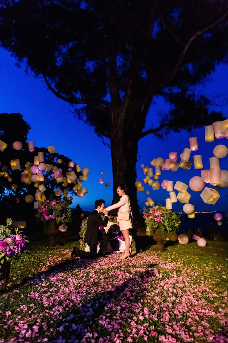 couple get engaged with disney's tangled marriage proposal