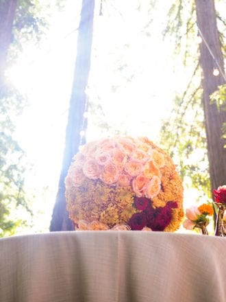 Napa Redwood Grove Wedding Proposal