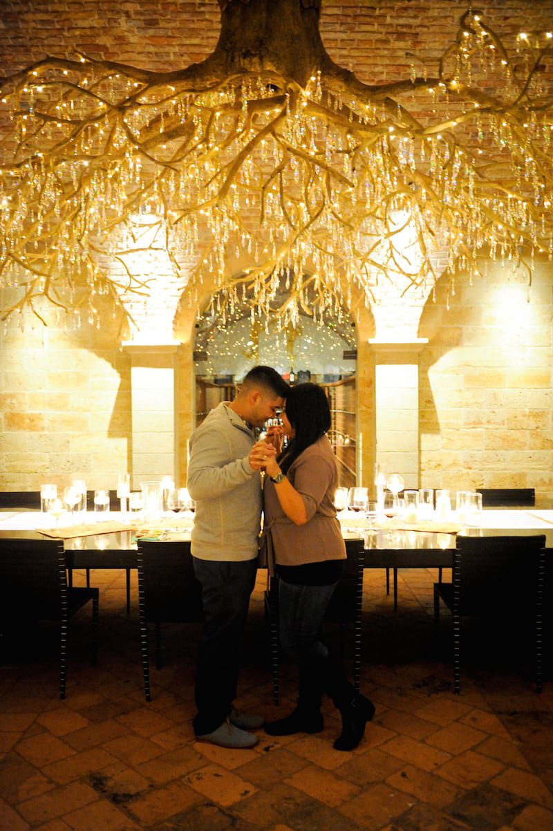 Chandelier Napa Proposal