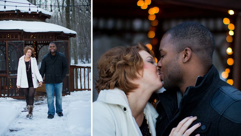 Snowy Winter proposal