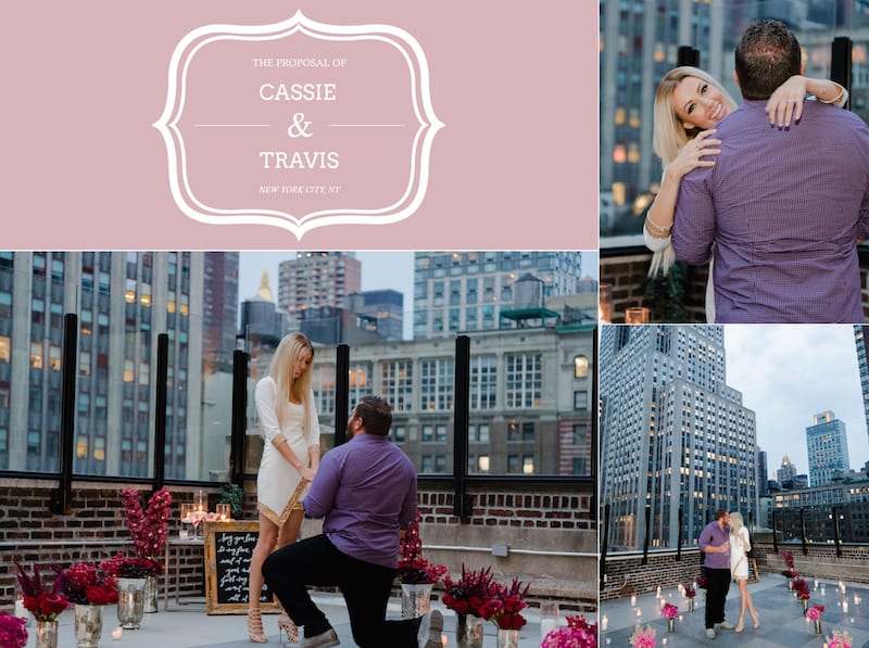 Rooftop Proposal in NYC