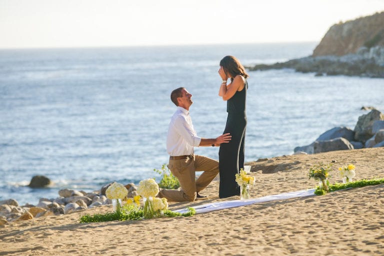the summer proposal vi keeland