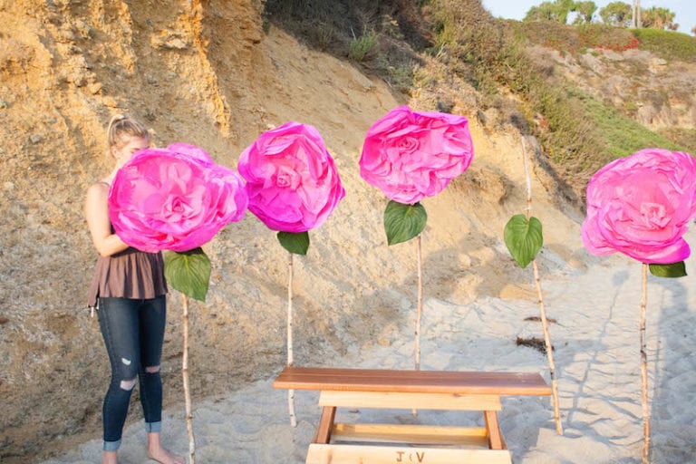 Tissue Paper Rose Beach Proposal