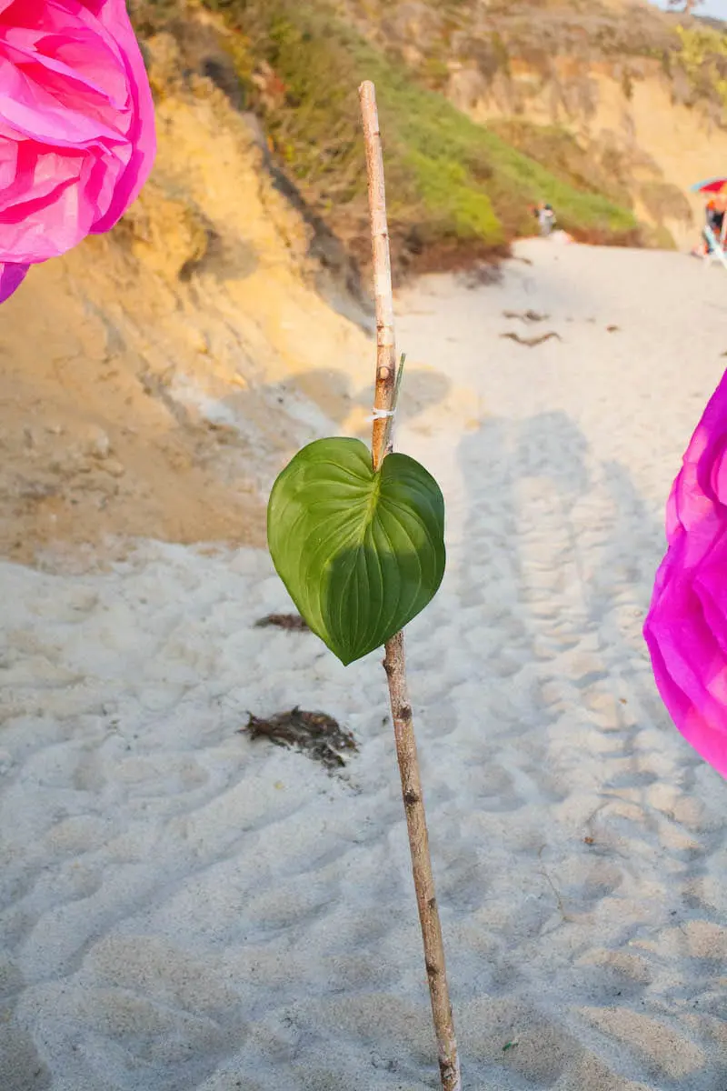 Lifesize tissue paper flower tutorial