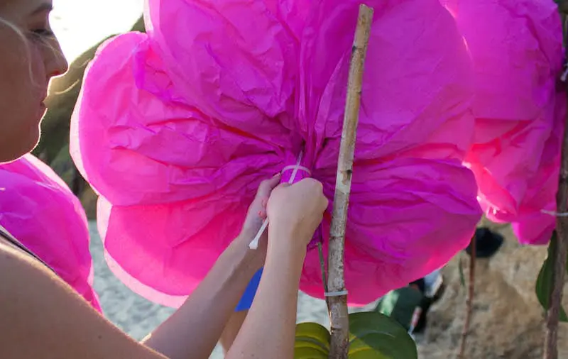Lifesize tissue paper flower tutorial