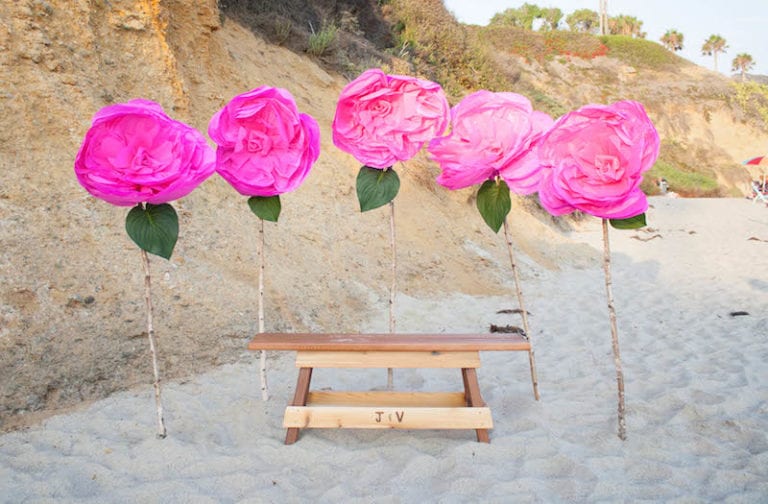 Tissue Paper Rose Beach Proposal