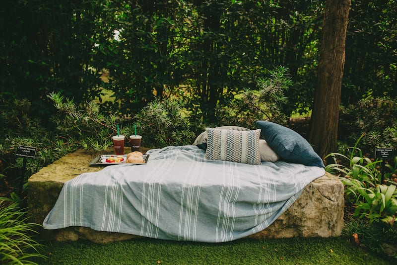 simple picnic proposal in dallas