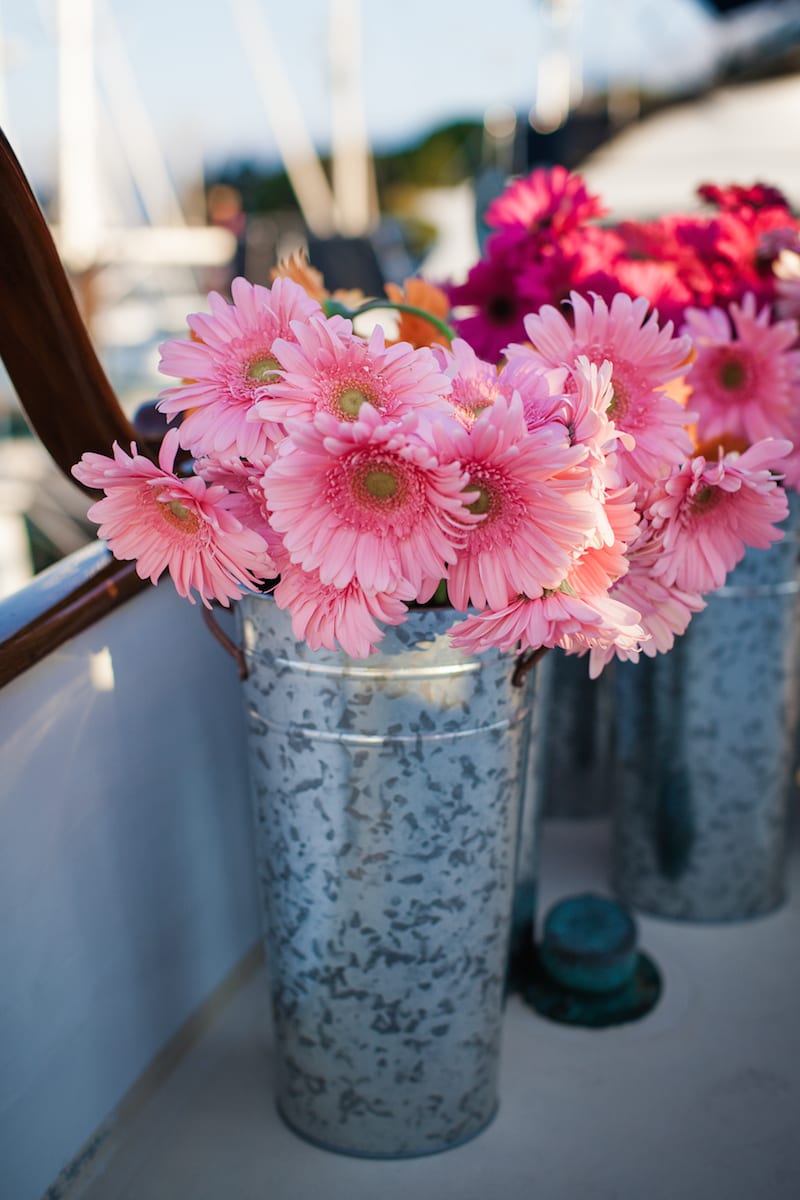 pink gerber daisy in galvanized tin vase