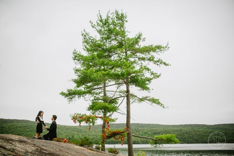 wedding proposal with autumn theme