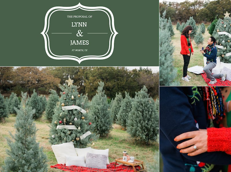 christmas tree marriage proposal