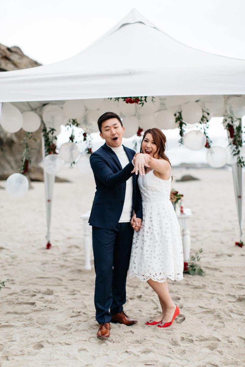 red rose on beach proposal