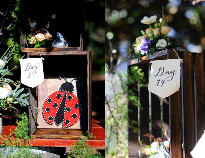 napa valley marriage proposal