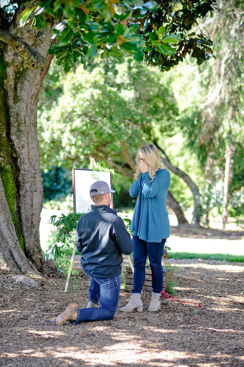 wedding proposal in wine country