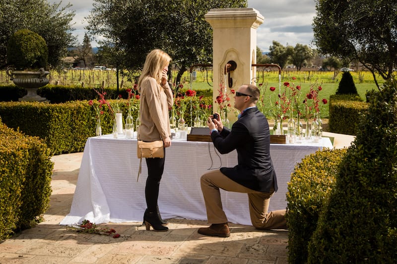 down on one knee in Napa Valley Garden