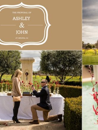 proposal in garden in wine country