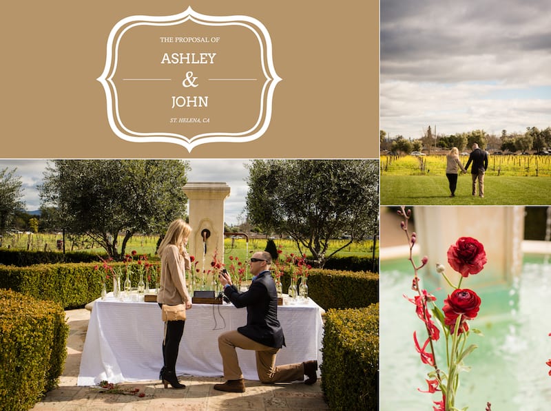 proposal in garden in wine country