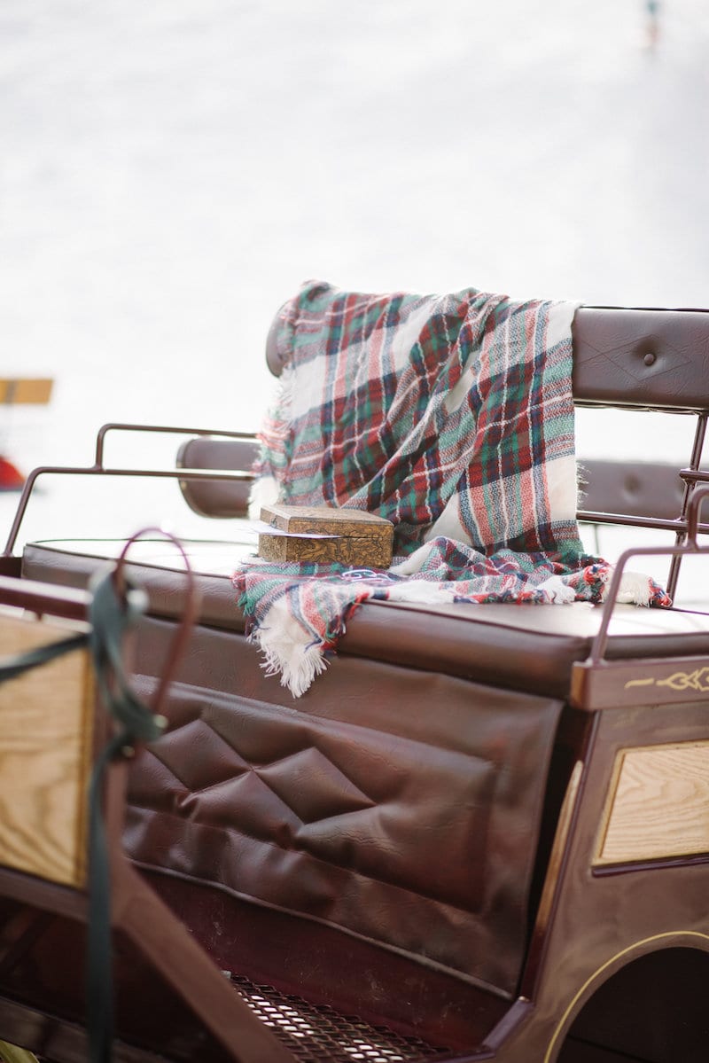 deer valley proposal with horse carriage