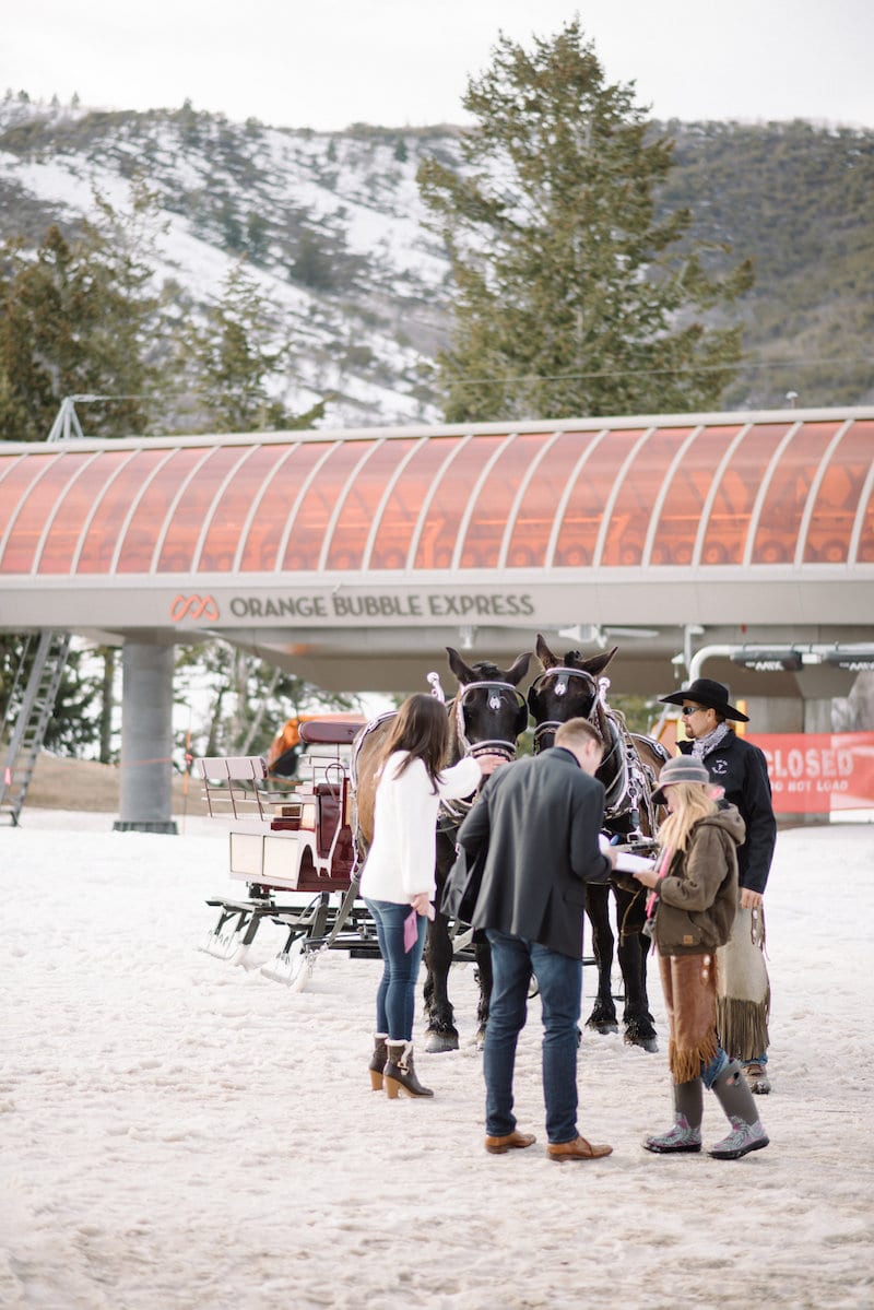 deer valley proposal with horse carriage