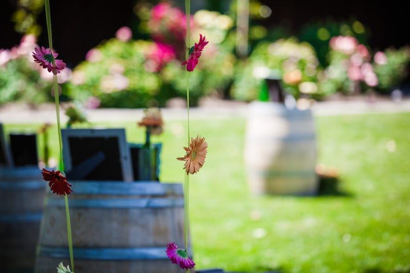 daisy chain napa proposal 