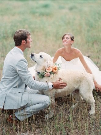 ways to include your dog in your wedding