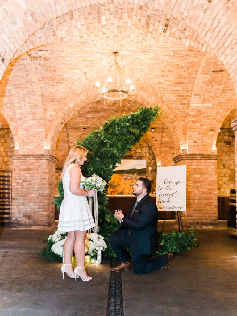 Love you to the Moon and Back marriage proposal