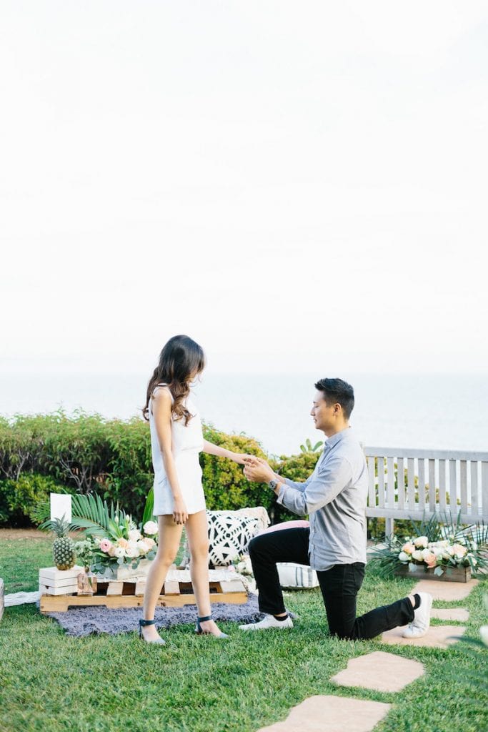 Malibu beach overlook engagement