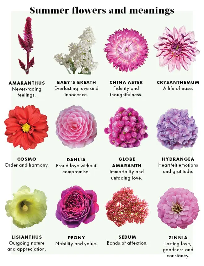 What Flower Symbolizes Weakness