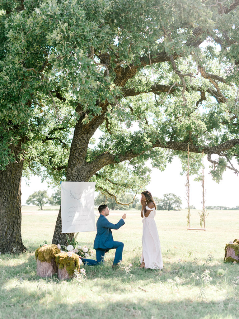 fairytale proposal in texas