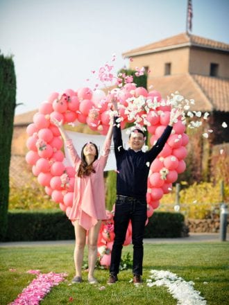 Viansa Winery Wedding Proposal in Sonoma