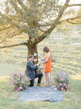 Winery travel themed proposal