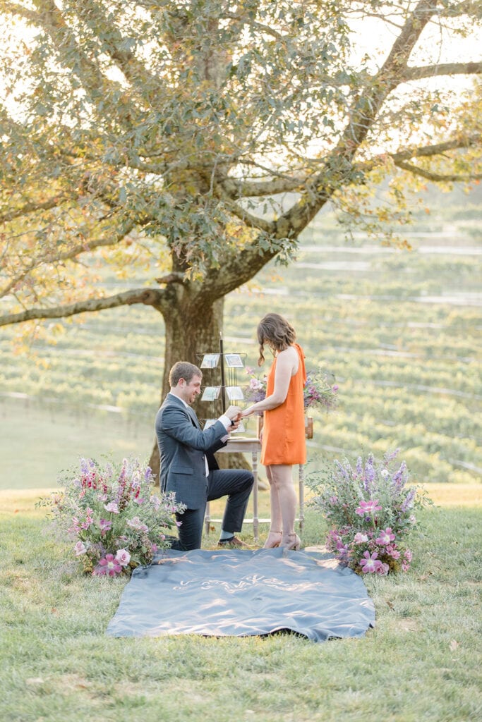 Winery travel themed proposal