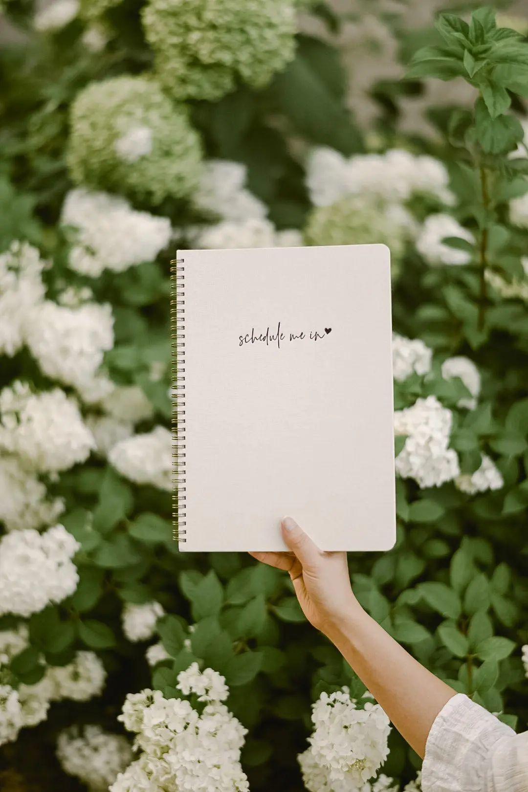 schedule me in planner