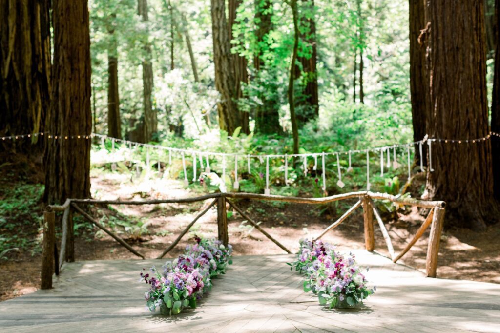 Redwoods, flowers, string lights