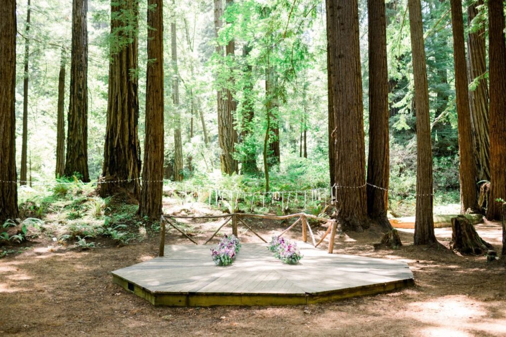 Redwoods, flowers, string lights