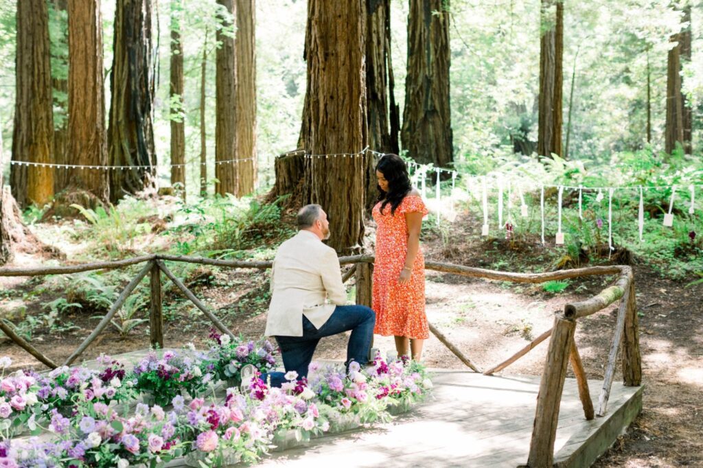 Redwoods, flowers. proposal