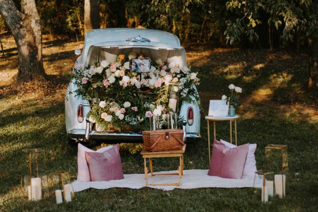 Drive-In Picnic Proposal- Roopville, Georgia 